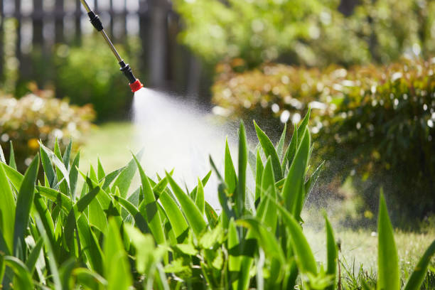 24/7 Emergency Mosquito Control experts in Merrick, NY