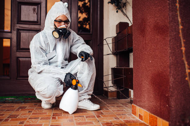 Reliable Mosquito Control contractor in Merrick, NY by Show Me Pest Control